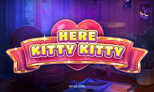 vnq8 Here Kitty Kitty