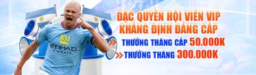 Hành trình cổ tích cùng vnq8a